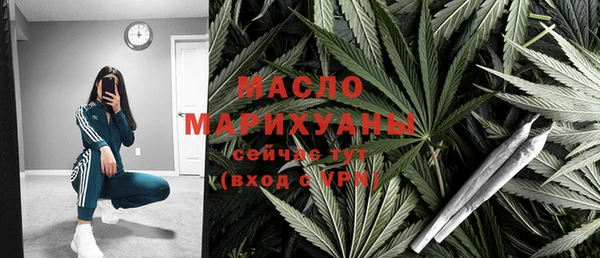 гашик Ладушкин