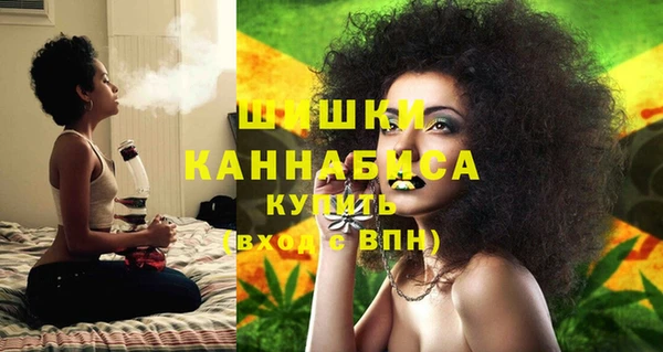 шишки Лабытнанги
