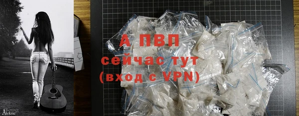 гашик Ладушкин