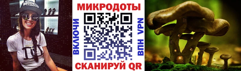 Псилоцибиновые грибы ЛСД  Лесозаводск 