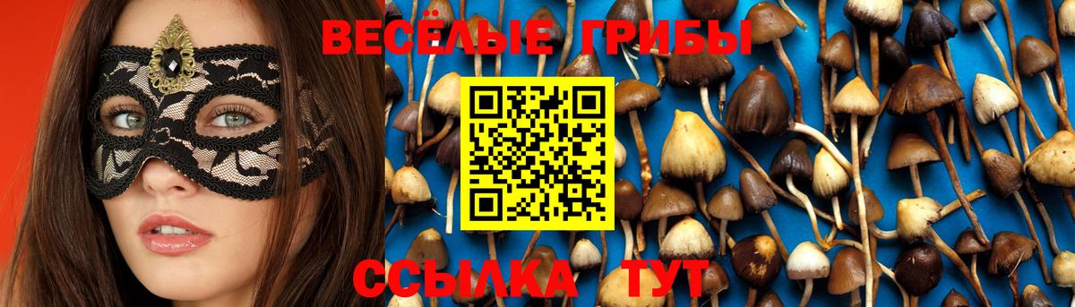 Лесозаводск  Псилоцибиновые грибы GOLDEN TEACHER  даркнет сайт  Вход с VPN 
